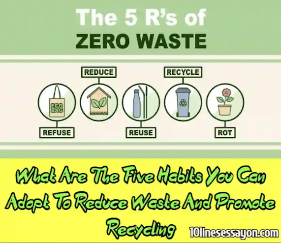 essay on reduce waste and promote recycling